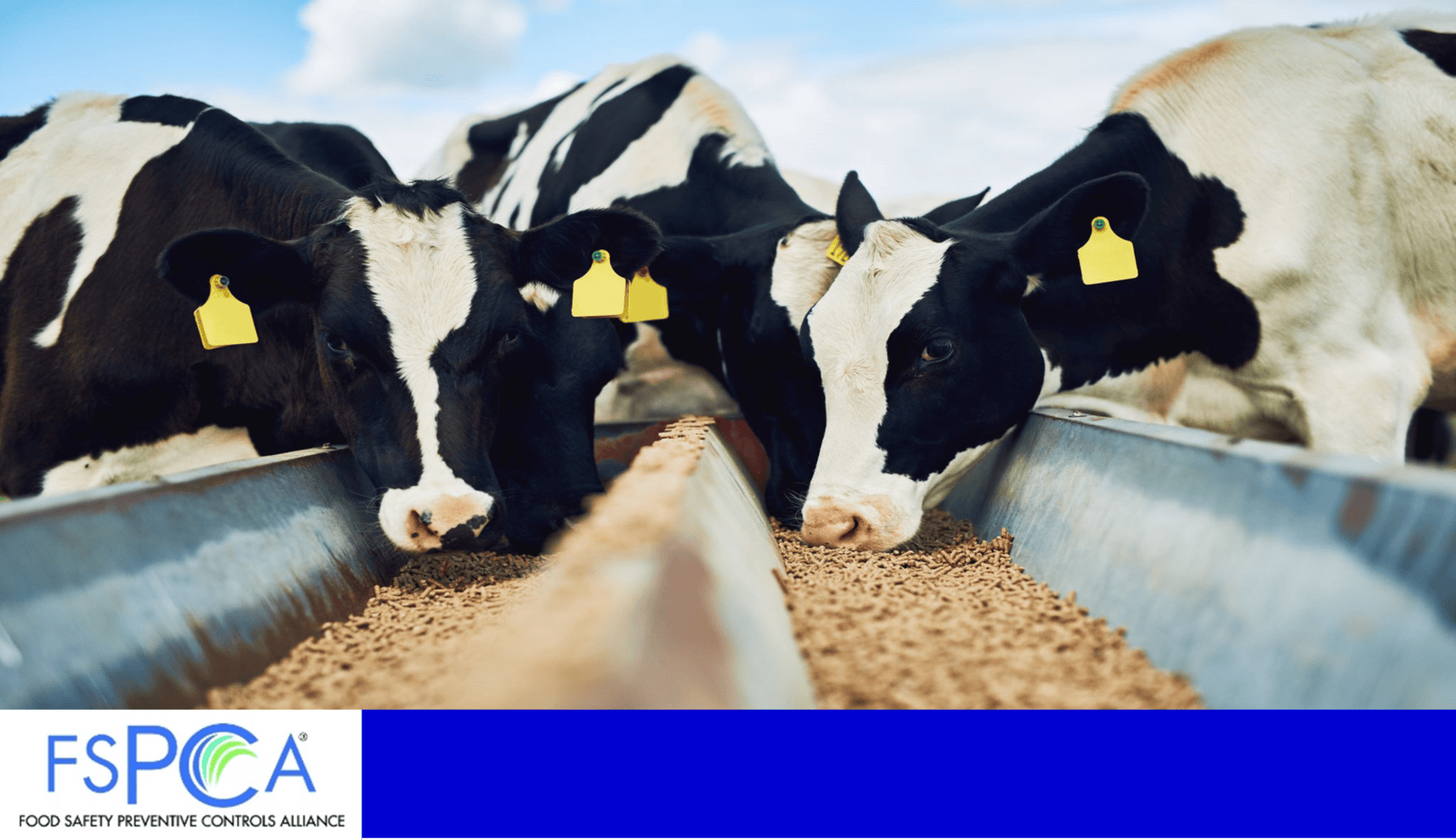 PCQI Animal Food (Feb. 2628, 2025)